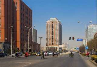 江苏景观绿化工程花盆